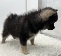 processed/1cede1c4-b763-4758-bc91-0a57e22ca920/listing/ae3ef37b-7f06-4651-8b28-dfaec8342caf/976d3110-ab64-44b9-a061-8b4582837b68