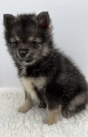 processed/1cede1c4-b763-4758-bc91-0a57e22ca920/listing/ae3ef37b-7f06-4651-8b28-dfaec8342caf/c1b9ca61-abee-4f67-a274-44eab9e64e37