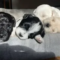 processed/1cf79306-ece5-4599-9261-63e6f29cf143/facility/1183bf74-d2ff-4f0e-8407-e883c6d13eec