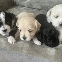 processed/1cf79306-ece5-4599-9261-63e6f29cf143/facility/6864baa2-338e-4bfd-b431-168b237dbad2