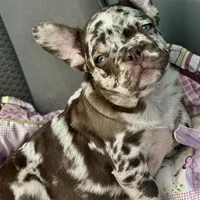 processed/1d01cb90-b542-47e6-a244-494a9f7167d1/facility/0f980596-1cdc-4e62-ad55-ed0d30db101e