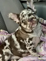 processed/1d01cb90-b542-47e6-a244-494a9f7167d1/facility/0f980596-1cdc-4e62-ad55-ed0d30db101e