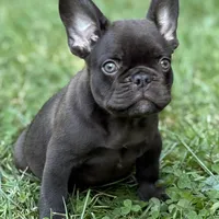 processed/1d01cb90-b542-47e6-a244-494a9f7167d1/facility/2965c9e0-41ab-415e-bc13-75fb089ee290