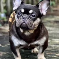 processed/1d01cb90-b542-47e6-a244-494a9f7167d1/facility/29c48fa3-0329-4840-91fd-a9f49fa41c79