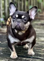 processed/1d01cb90-b542-47e6-a244-494a9f7167d1/facility/29c48fa3-0329-4840-91fd-a9f49fa41c79