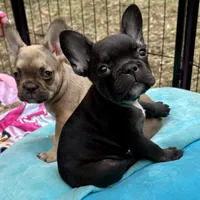 processed/1d01cb90-b542-47e6-a244-494a9f7167d1/facility/6448091e-7daf-4bf7-94fe-9f52ba8be8ff