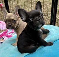 processed/1d01cb90-b542-47e6-a244-494a9f7167d1/facility/6448091e-7daf-4bf7-94fe-9f52ba8be8ff