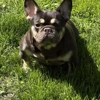 processed/1d01cb90-b542-47e6-a244-494a9f7167d1/facility/9bfb30fd-8530-4fb2-ad91-e24b2deafd90