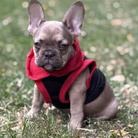 processed/1d01cb90-b542-47e6-a244-494a9f7167d1/facility/9d192fec-b95a-493c-bccf-6bff6ddb0e74