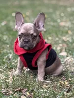 processed/1d01cb90-b542-47e6-a244-494a9f7167d1/facility/9d192fec-b95a-493c-bccf-6bff6ddb0e74