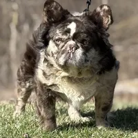 processed/1d01cb90-b542-47e6-a244-494a9f7167d1/facility/cd57e6b9-d8ea-4627-8bdd-188ad0c42ffb