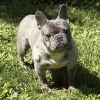 processed/1d01cb90-b542-47e6-a244-494a9f7167d1/facility/d5f1e81c-d577-4c64-ac42-b9fdf017a134