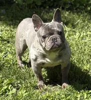 processed/1d01cb90-b542-47e6-a244-494a9f7167d1/facility/d5f1e81c-d577-4c64-ac42-b9fdf017a134