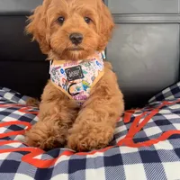 processed/1d114eef-071a-4456-8eb0-3508cff87194/facility/071cf9e2-4550-49ae-9e19-a608f03ff356