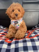 processed/1d114eef-071a-4456-8eb0-3508cff87194/facility/071cf9e2-4550-49ae-9e19-a608f03ff356