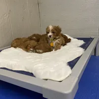 processed/1d114eef-071a-4456-8eb0-3508cff87194/facility/19070b75-a070-453b-bebe-282ffa854dc3