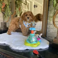 processed/1d114eef-071a-4456-8eb0-3508cff87194/facility/2c274e26-ac3d-4067-96e7-60f0bf6fb003