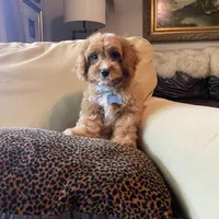 processed/1d114eef-071a-4456-8eb0-3508cff87194/facility/680019d0-232d-4c9d-8cac-0f68563a6fee