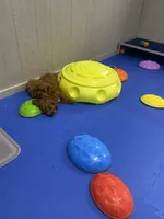 processed/1d114eef-071a-4456-8eb0-3508cff87194/facility/7ae70591-1d84-4131-8d39-63b4d912ff72