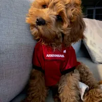 processed/1d114eef-071a-4456-8eb0-3508cff87194/facility/c7a8dc6b-5ac6-498b-82ce-a50755974746