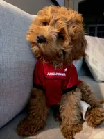 processed/1d114eef-071a-4456-8eb0-3508cff87194/facility/c7a8dc6b-5ac6-498b-82ce-a50755974746