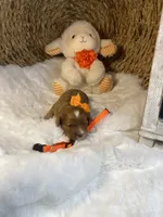 processed/1d114eef-071a-4456-8eb0-3508cff87194/listing/59b5f496-4f5c-414b-8b95-b2af303fb118/13934da0-1f0b-470a-ad6c-a40258f25424