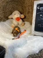 processed/1d114eef-071a-4456-8eb0-3508cff87194/listing/59b5f496-4f5c-414b-8b95-b2af303fb118/355f593f-db71-40f3-a9ed-99f60037a62a