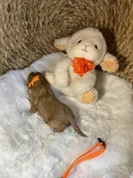 processed/1d114eef-071a-4456-8eb0-3508cff87194/listing/59b5f496-4f5c-414b-8b95-b2af303fb118/95b5adf7-5b56-4bf2-82c7-06b758ffeb55