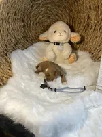 processed/1d114eef-071a-4456-8eb0-3508cff87194/listing/69c3d08b-5929-4eda-99fc-9e951c2182fd/7df243a6-258a-49f9-9b17-388b90f9525c