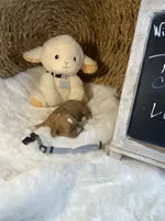 processed/1d114eef-071a-4456-8eb0-3508cff87194/listing/69c3d08b-5929-4eda-99fc-9e951c2182fd/d49ab2eb-6301-466c-9d43-f9b50e22e856