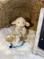 Oakley -M, a male Cavalier King Charles Spaniel for sale in Lepanto, AR – Photo 5 of 8