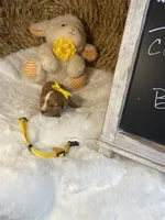 processed/1d114eef-071a-4456-8eb0-3508cff87194/listing/b242f6fd-8fb2-4598-baa3-801d3fcfc600/3efd5fd7-5a7e-4627-a51b-c99781ce29ae