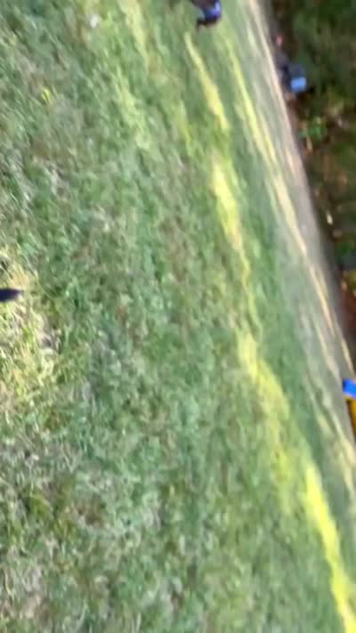 Skarlet- ABKC, a female American Bully for sale in Durham, NC – 6 of 7