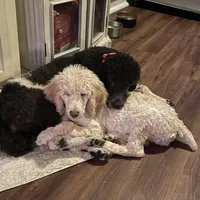 processed/1d1dfa54-f847-4b5e-a0f7-76dc86d2c35a/facility/1b6ed9df-604b-4fca-a37a-989fd92c324b