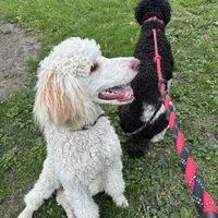 processed/1d1dfa54-f847-4b5e-a0f7-76dc86d2c35a/facility/48b35526-a1d2-4d1d-8daa-889e3b8abda7