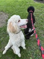 processed/1d1dfa54-f847-4b5e-a0f7-76dc86d2c35a/facility/48b35526-a1d2-4d1d-8daa-889e3b8abda7