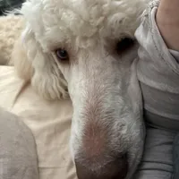 processed/1d1dfa54-f847-4b5e-a0f7-76dc86d2c35a/facility/8734a6ec-eaf2-4f61-9a88-2a6a4252cb3e