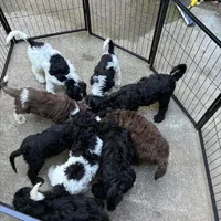 processed/1d1dfa54-f847-4b5e-a0f7-76dc86d2c35a/facility/920bc4b3-2155-4752-b9c9-f0392ef8aa28