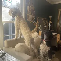 processed/1d1dfa54-f847-4b5e-a0f7-76dc86d2c35a/facility/984655c9-3798-47f6-86e0-15c4bb788617