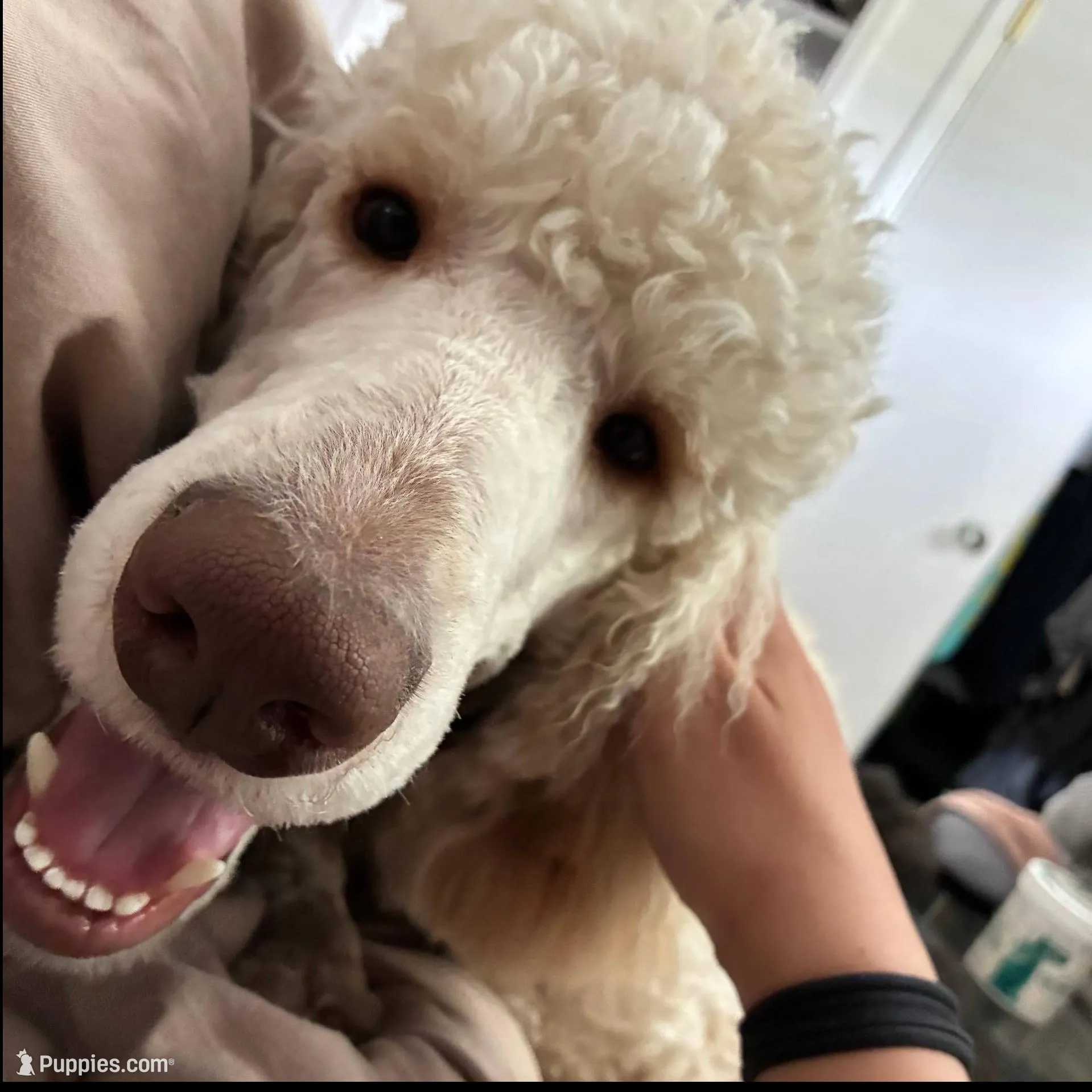 processed/1d1dfa54-f847-4b5e-a0f7-76dc86d2c35a/facility/c13f91ed-de01-4e90-bc7d-874e19254514