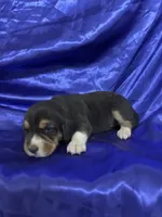 processed/1d237d26-d91c-4cf5-9e60-b75adf93f1bc/listing/7a4caf0d-1657-43ae-a113-f8ca9db50844/b97a8daf-af50-43fe-816a-f4f47ab1187d