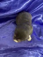 processed/1d237d26-d91c-4cf5-9e60-b75adf93f1bc/listing/7a4caf0d-1657-43ae-a113-f8ca9db50844/d01d0e3d-e916-4dd7-a743-405d4a3601bc