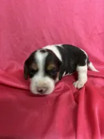 processed/1d237d26-d91c-4cf5-9e60-b75adf93f1bc/listing/7b085d29-7a47-4c23-a7db-165d411bf3e5/269a0622-b974-4297-999c-c45e55d72271