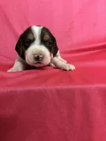 processed/1d237d26-d91c-4cf5-9e60-b75adf93f1bc/listing/7b085d29-7a47-4c23-a7db-165d411bf3e5/cf80ba67-c4e5-4d03-8395-07246a90e324