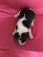 processed/1d237d26-d91c-4cf5-9e60-b75adf93f1bc/listing/7b085d29-7a47-4c23-a7db-165d411bf3e5/edbfe983-6343-4c30-9395-3099aa06883e