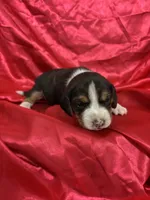 processed/1d237d26-d91c-4cf5-9e60-b75adf93f1bc/listing/7c86d37e-7de9-4f2c-9f4c-af4955e73746/60b59714-2105-42f9-83a8-76d28d2ce36a