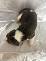 processed/1d237d26-d91c-4cf5-9e60-b75adf93f1bc/listing/7f5b8ae7-1af4-4abe-bfdf-579185e314a7/a88c1a98-f45a-4470-a85a-91dd374c88e5