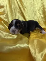 processed/1d237d26-d91c-4cf5-9e60-b75adf93f1bc/listing/efd9f79b-197c-4b75-b03d-100e4bdac5bb/baf01a6f-683d-44d8-8287-50519c43a232