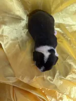 processed/1d237d26-d91c-4cf5-9e60-b75adf93f1bc/listing/efd9f79b-197c-4b75-b03d-100e4bdac5bb/c3fa4844-f12b-4e7b-84d1-8b1e6f9263e4