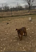 processed/1d310859-2477-4696-a08a-6fede2580979/listing/62a43fa6-e5b6-4b7b-bb63-aa1eeb0b56fa/058ff0fd-dcde-4ecb-9f33-18d2925355d6